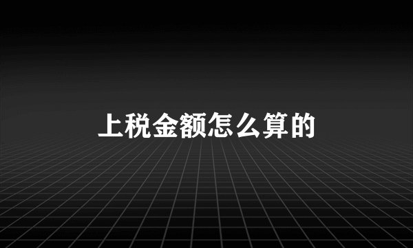 上税金额怎么算的