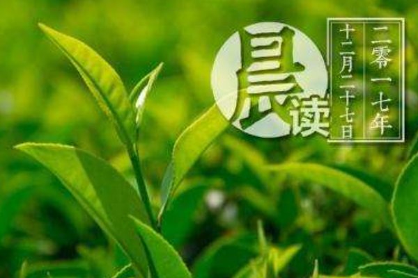 茶叶排行榜前10名分别是哪些品牌?