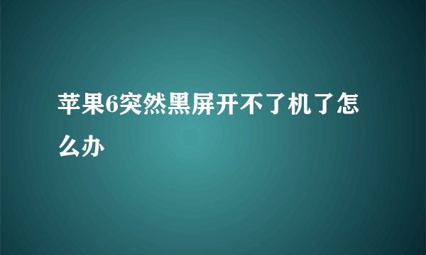 苹果6突然黑屏开不了机了怎么办