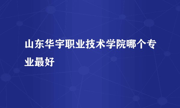 山东华宇职业技术学院哪个专业最好