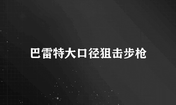 巴雷特大口径狙击步枪