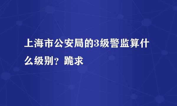 上海市公安局的3级警监算什么级别？跪求