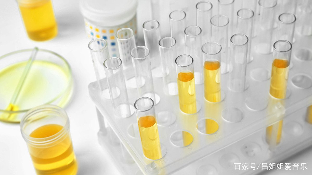 尿蛋白高是怎么引起的,对身体会有哪些危害?