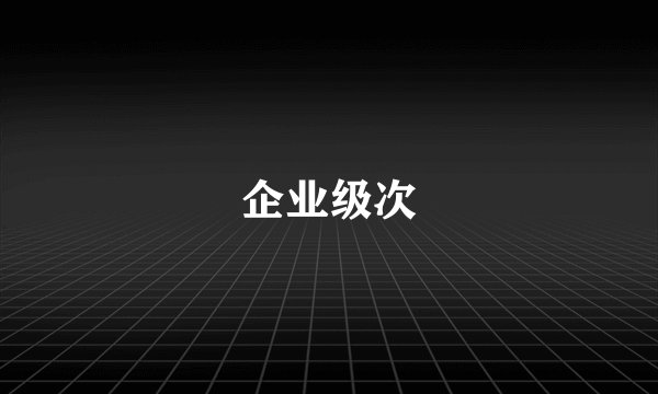 企业级次