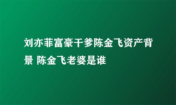 刘亦菲富豪干爹陈金飞资产背景 陈金飞老婆是谁