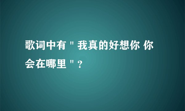 歌词中有＂我真的好想你 你会在哪里＂？