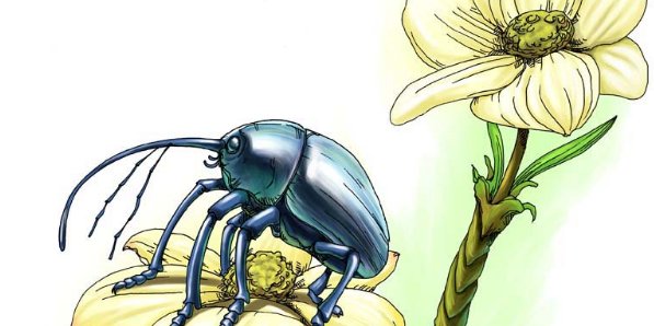 昆去记第三章的感受