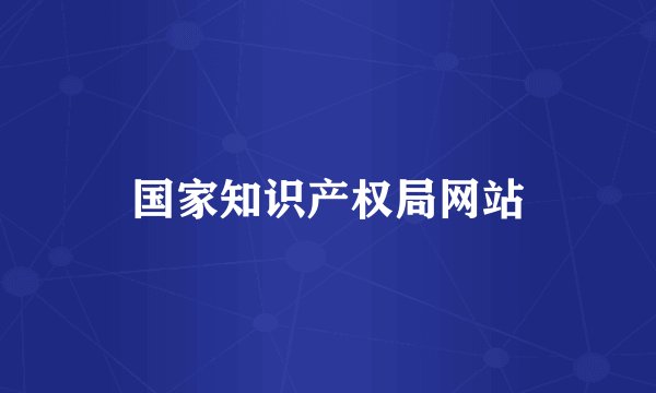 国家知识产权局网站