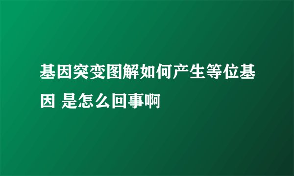 基因突变图解如何产生等位基因 是怎么回事啊