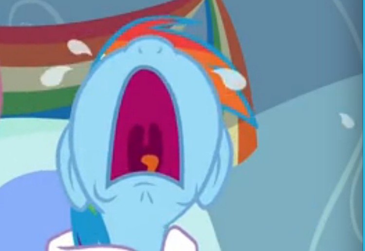 谁有小马宝莉碧琪和云宝的图片