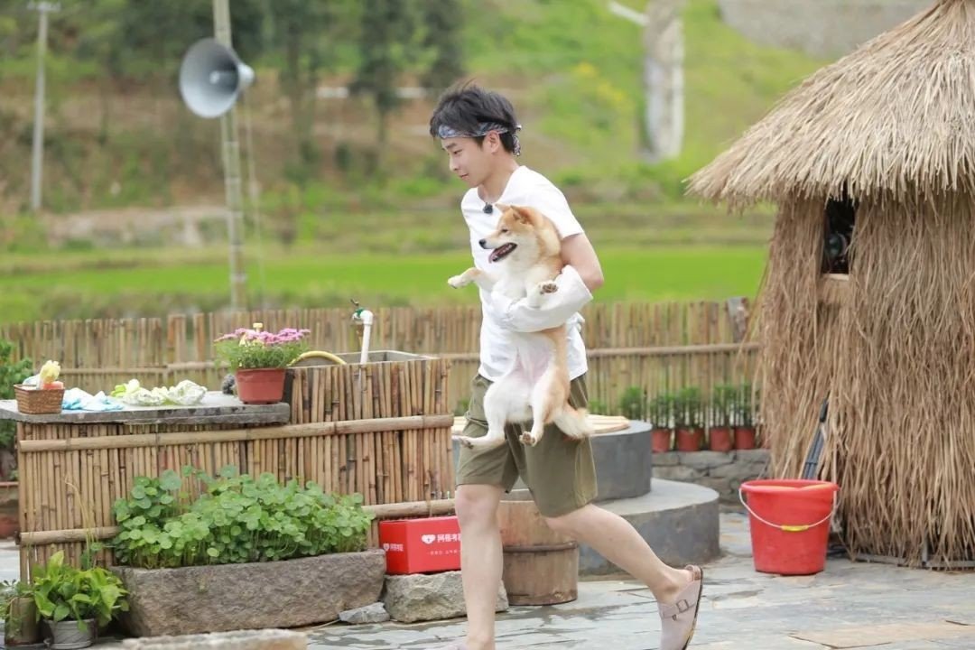 彭昱畅出道于《太子妃升职记》，但是真正为观众所熟知是什么时候呢？