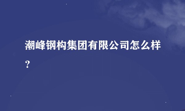 潮峰钢构集团有限公司怎么样？
