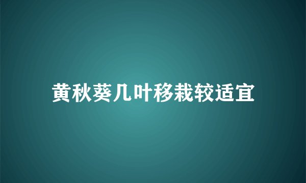 黄秋葵几叶移栽较适宜