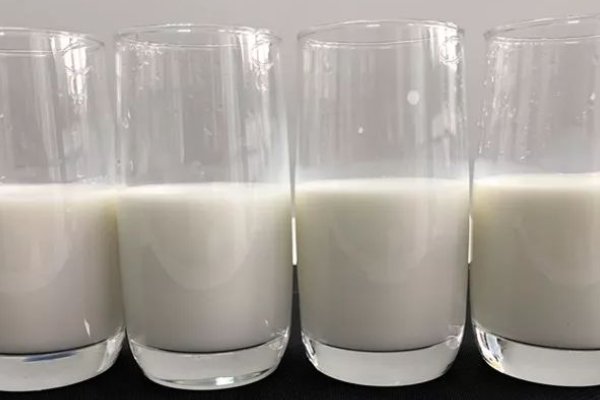 科迪牛奶到底能不能喝?