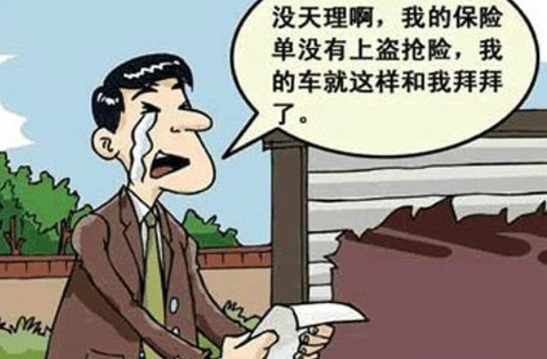 要续保了，全车盗抢险有必要买吗