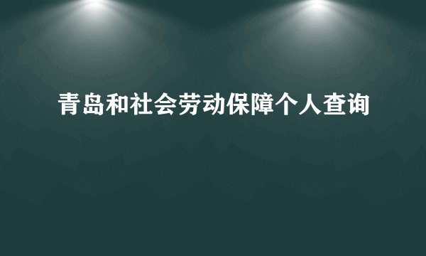 青岛和社会劳动保障个人查询