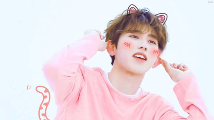 蔡徐坤出演过什么电视剧吗？