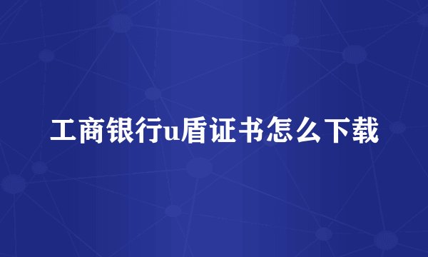 工商银行u盾证书怎么下载