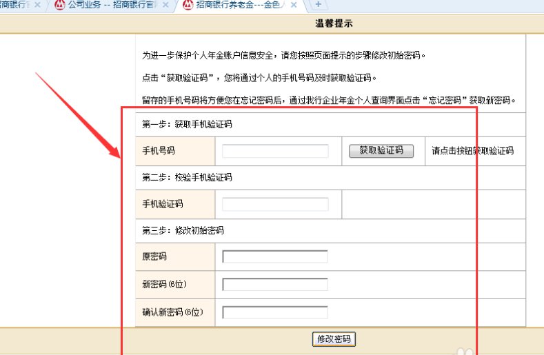 企业年金查询个人账户查询