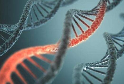 染色体变异与基因突变有什么区别?