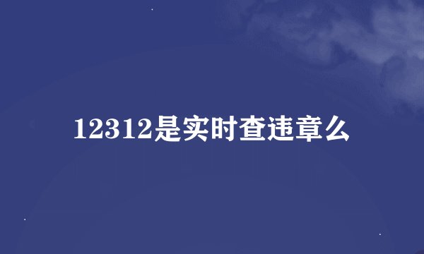 12312是实时查违章么