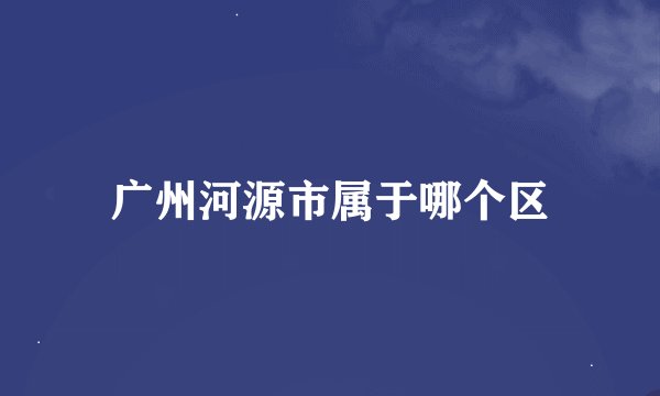 广州河源市属于哪个区
