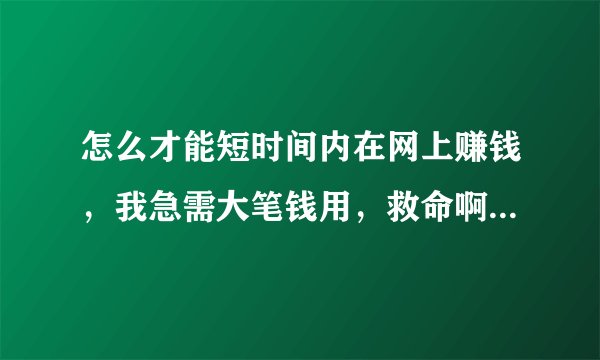 怎么才能短时间内在网上赚钱，我急需大笔钱用，救命啊（无成本）