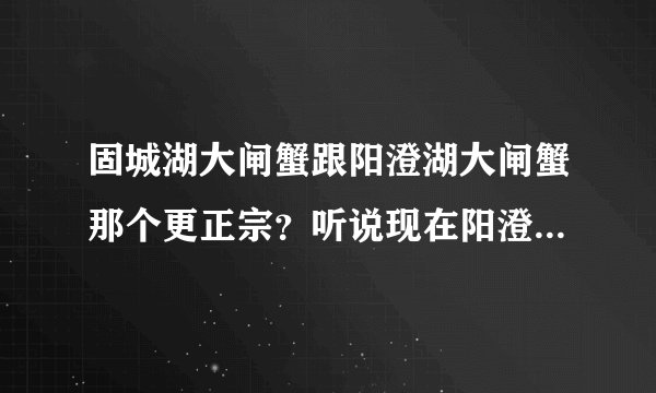 固城湖大闸蟹跟阳澄湖大闸蟹那个更正宗？听说现在阳澄湖大闸蟹都是洗澡蟹？是真的吗？