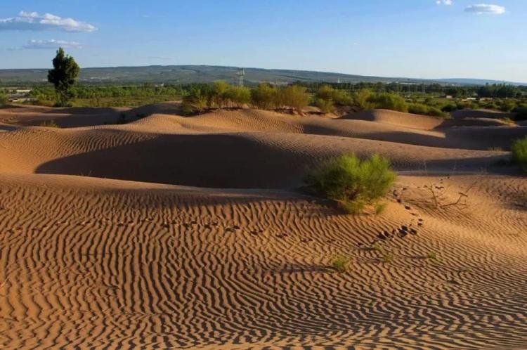 毛乌素沙漠即将从地图上彻底的消失，取而代之的是什么？