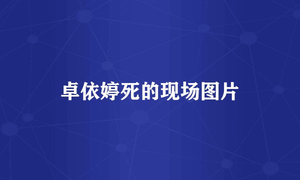 卓依婷死的现场图片