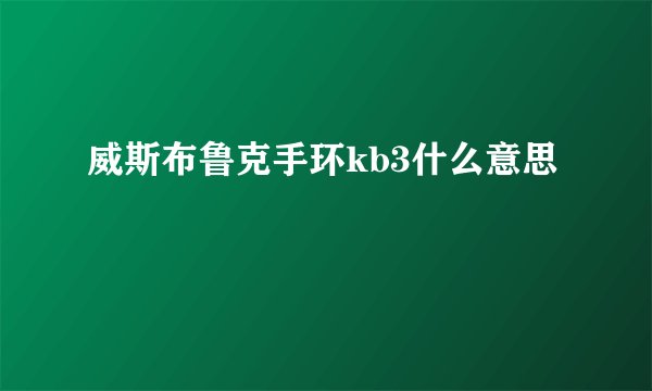 威斯布鲁克手环kb3什么意思