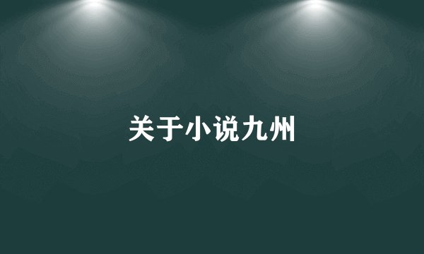 关于小说九州