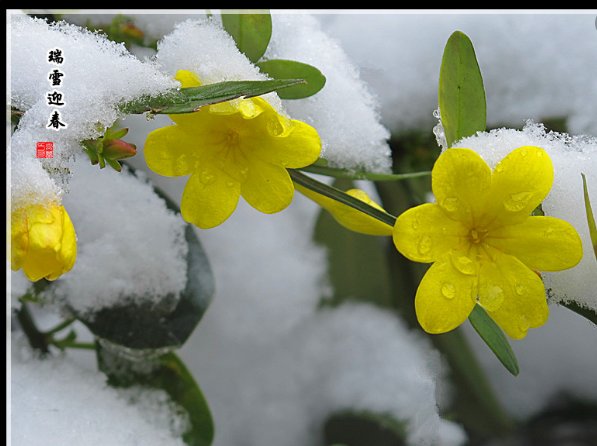 关于瑞雪兆丰年的古诗
