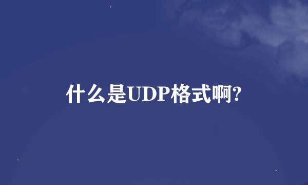 什么是UDP格式啊?