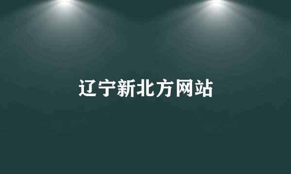 辽宁新北方网站