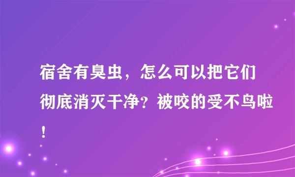 宿舍有臭虫,怎么可以把它们彻底消灭干净?被咬的受不鸟啦!