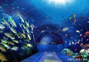 成都市内有啥好玩的地方