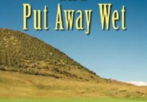 put away是什么意思