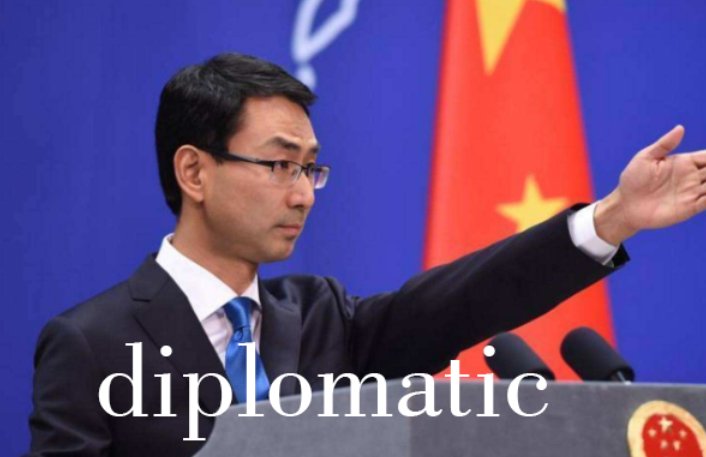 diplomatic是什么意思
