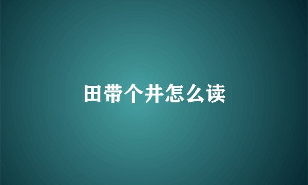 田带个井怎么读