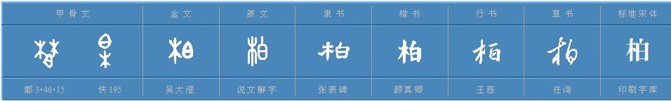 柏有哪些词语组成的词语