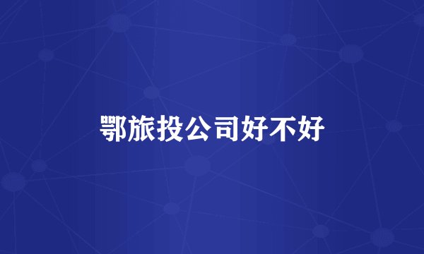 鄂旅投公司好不好