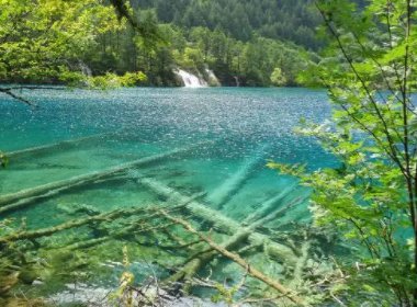 绵阳通报“4天参团游没看到九寨沟大门”，是否该严惩涉事酒店？