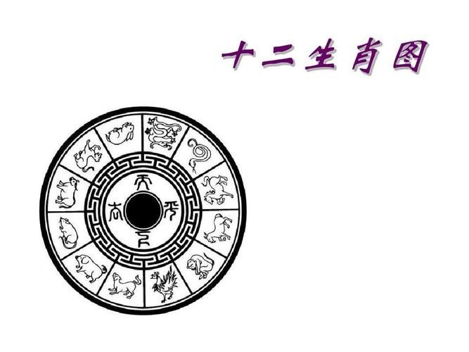 时续时续是指什么动物