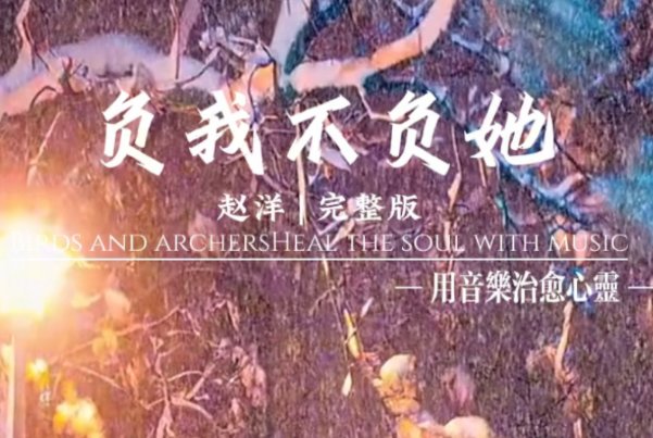 你为什么负我不负她原唱版谁唱的