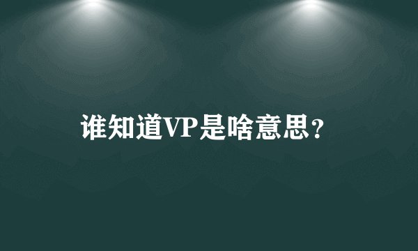 谁知道VP是啥意思？