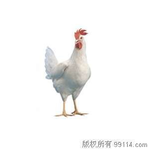 海兰的日程记录