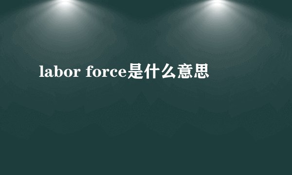 labor force是什么意思