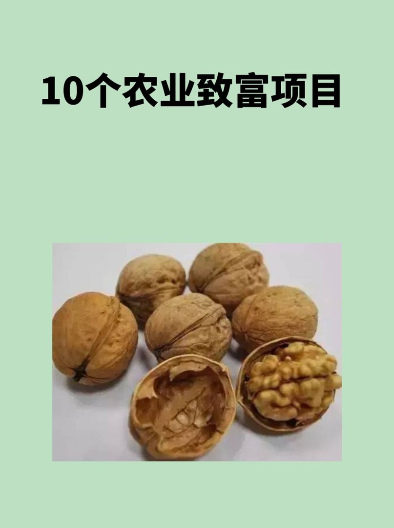 10个农业致富项目