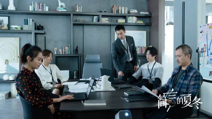 电视剧简言的夏冬一共多少集